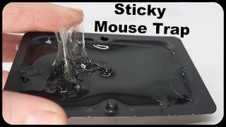 Why Are These The Most Popular Mouse Traps On Amazon This seems like a scam Mousetrap Monday [upl. by Eerrehc]