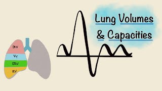 Lung Volumes and Capacities  Spirogram  Spirometry  Respiratory Physiology [upl. by Harbison]