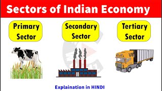 Sectors of Indian Economy  Primary Sector  Secondary Sector  Tertiary Sector [upl. by Esteban]