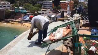 Continúan las obras de rehabilitación de barandales en Sinfonía del Mar y playa Angosta [upl. by Mano]