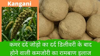 Kangni  Foxtail Millet Ladoo Recipe  कंगनी लड्डू  Healthy amp Tasty Nutritious Sweet Ladu  AARUS [upl. by Adao518]