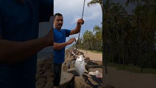 Beach fishing fishing beachfishing fishingvideo fish malayalam [upl. by Noslen]