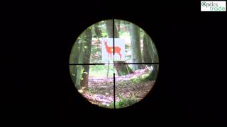 Minox ZV 39x50 reticle BDC subtensions [upl. by Norym]