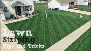 Lawn Striping  How To Achieve The Best Stripes In Your Lawn [upl. by Yanehs]