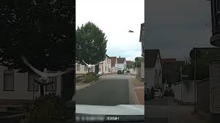 Täubchen auf der Straße deutschland pfungstadt dashcamera [upl. by Schonfield234]