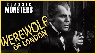 Werewolf of London 1935 Official Trailer  Classic Monsters [upl. by Viviana161]