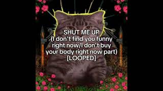 SHUT ME UP  MSI I dont find you funny right now LOOPED Slightly slowed [upl. by Nodnorb]