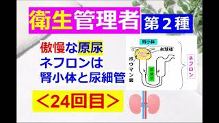 【衛生管理者】その２４第二種：労働生理：生きる上で欠かせない腎臓の話♪ [upl. by Genevra652]