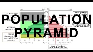 Population Pyramid of India  Growth Disitribution Diversity [upl. by Sandye]