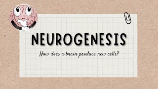 Neurogenesis [upl. by Cheyney302]