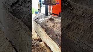 Sawing large blocks of wood wood chainsaw woodworking woodcut treecutting [upl. by Marih]