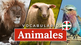 Aprender euskera  Primeras palabras ANIMALES [upl. by Gayleen146]