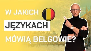 🇧🇪 Języki w BELGII  jak porozumiewają się Belgowie [upl. by Glory]