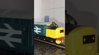 vitrains class 37 OO Guage [upl. by Hcab]