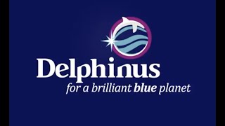 ¿Qué significa ser parte de Delphinus This is how we work l Delphinus [upl. by Botsford]