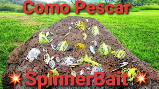 Como Pescar con SpinnerBait TRUCOS y CONSEJOS [upl. by Yram]