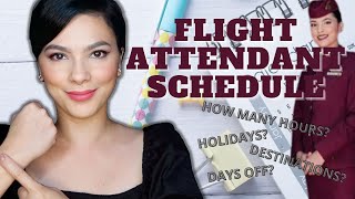 CABIN CREW SCHEDULE how many hours in a month [upl. by Gothurd413]