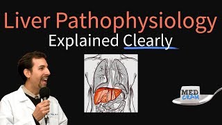 Liver Explained Clearly  Pathophysiology LFTs Hepatic Diseases [upl. by Ahsauqram775]