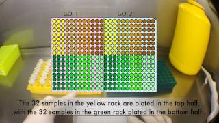 Setting up a 384 Well qRTPCR Assay for the ViiA7™ using Viaflo Electronic Pipettes [upl. by Benenson]