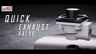 How Pneumatic Quick Exhaust Valve Works With Animation [upl. by Erait266]