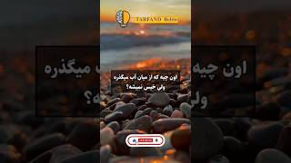 اگر می‌خواهی هرروز داناتر شی فالوم کن🌹♥️ انگیزشی فکت دانستنی یوتیوب [upl. by Ardnaskela280]