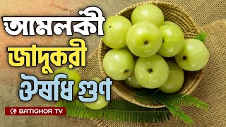 আমলকী যতো উপকারী পুষ্টিগুণ  Amloki  Amla  Bangla news [upl. by Kilah]