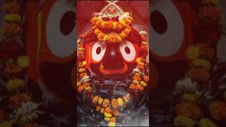 Ho Janichi Mu Kehi Nahi ll Odia Bhajan ll Odia Jagannath Bhajanodiashortssanusona [upl. by Terle]