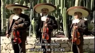 MARIACHI GUADALAJARA de TehuacánPuebla [upl. by Sullecram]