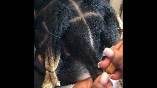 KodakKnots How to combine traditional Locs into Wicks [upl. by Nylloh]