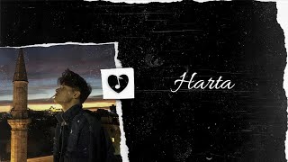 Dibaci  Harta  Lyrics Video [upl. by Adah522]