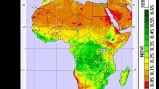 Vegetation in Africa [upl. by Atinod515]