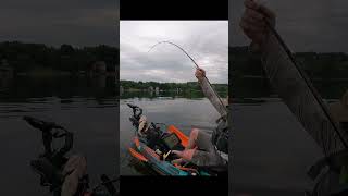 Flipping is Life bassfishing kayakbassfishing flipping [upl. by Fechter]