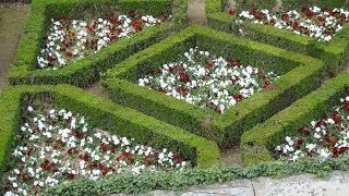 Boboli Gardens Florence Tuscany Italy Europe [upl. by Galvan602]