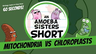 Mitochondria vs Chloroplasts  Amoeba Sisters Shorts [upl. by Maiocco]