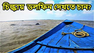 Puri Chilka Lake Dolphin Tour  OTDC Puri Chilika Package Tour  Puri Tour [upl. by Tamah]