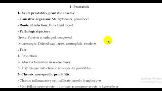 Prostatitis [upl. by Asital]