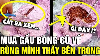 Mua THÚ BÔNG CŨ về dùng cô gái rùng mình khi tưởng TRỨNG GẤU BÔNG bên trong  Tin Nhanh 3 Phút [upl. by Ahsemrak]