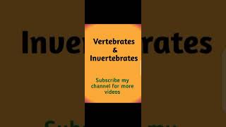 vertebrates and invertebrates [upl. by Podvin415]