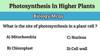 MCQ  Photosynthesis In Higher Plants [upl. by Nahoj]