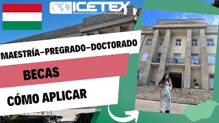 Stipendium Hungaricum la beca de pregrado maestría y doctorado en Hungría 🇭🇺 ¿Cómo aplicar📌Tips [upl. by Adair]