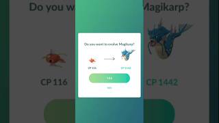 GYARADOS EVOLUTION pokemongo gyarados bestpokemon youtubeshorts shorts beautiful [upl. by Ahserb]