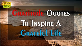 Gratitude Quotes To Inspire a Grateful Life  Good Quotes About Life  Life Changing Quotes [upl. by Ettelegna]