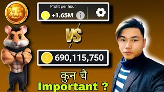 Profit Per Hour Vs Coin Balance कुन चै Important   When Hamster 🐹 Kombat Launch [upl. by Ahsai]