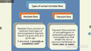 Normal microflora of humans I Skin microflora I Conjunctiva I Urogenital tract I Audio [upl. by Atiuqat288]