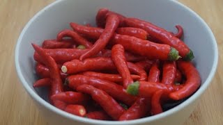 Pandu mirapakaya pachadi Ripe red chilli chutney in telugu [upl. by Eendyc]