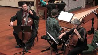 Vivaldi Concerto for Two Cellos in G Minor RV 531 Voices of Music Skeen amp Tomkins [upl. by Ardnohsal]