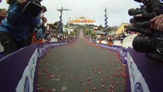 Jaffa Race in Dunedin [upl. by Aneger]