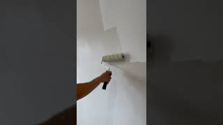 Watch Us TEST Emulsion Paint Revamping Your Room With Paint Is Easy To Do amp Satisfying To Apply [upl. by Eah]