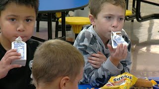 ‘We are going to have staff pour milk for students’ Milk carton supply shortage impacting schools [upl. by Barry]