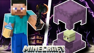 Minecraft 121 Elytra Secrets NO ONE Tells You [upl. by Eiwoh]